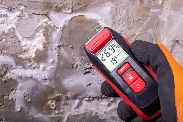 Attic Mold Removal in South Point, OH